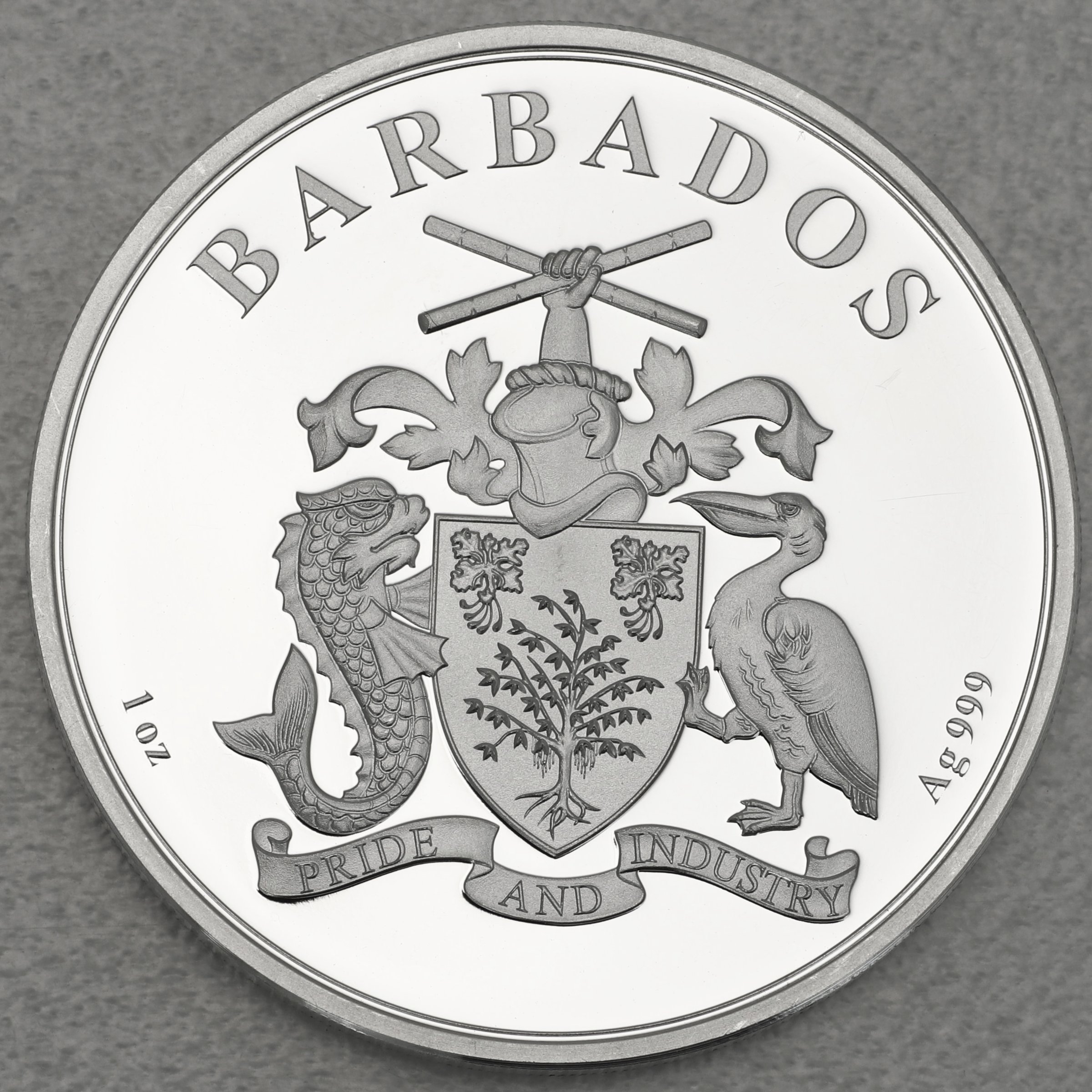 Silbermünze 1oz "Flamingo" 2020 (Barbados) - Detailansicht 1