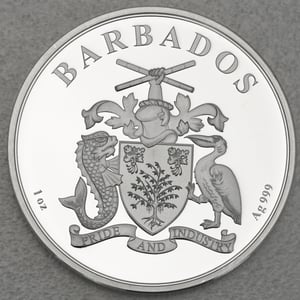 Silbermünze 1oz "Flamingo" 2020 (Barbados) - Miniaturansicht 2