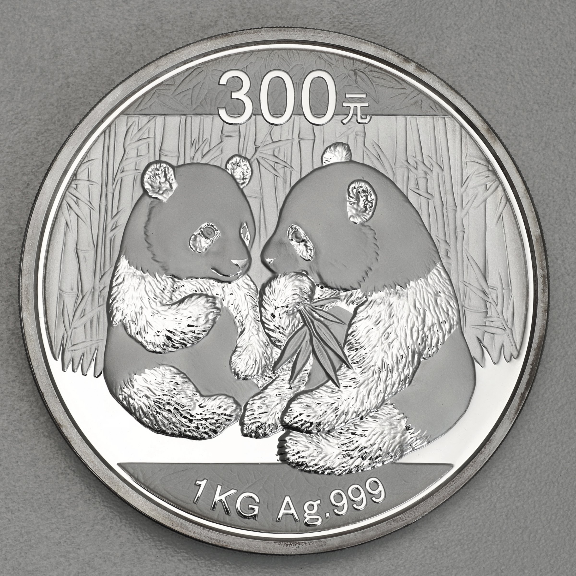 Silbermünze 1kg "Panda" 2009 (China) - Hauptansicht