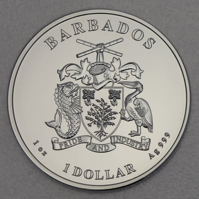 Silbermünze 1oz "Octopus 2021" Caribbean Silver (Barbados) - Miniaturansicht 2
