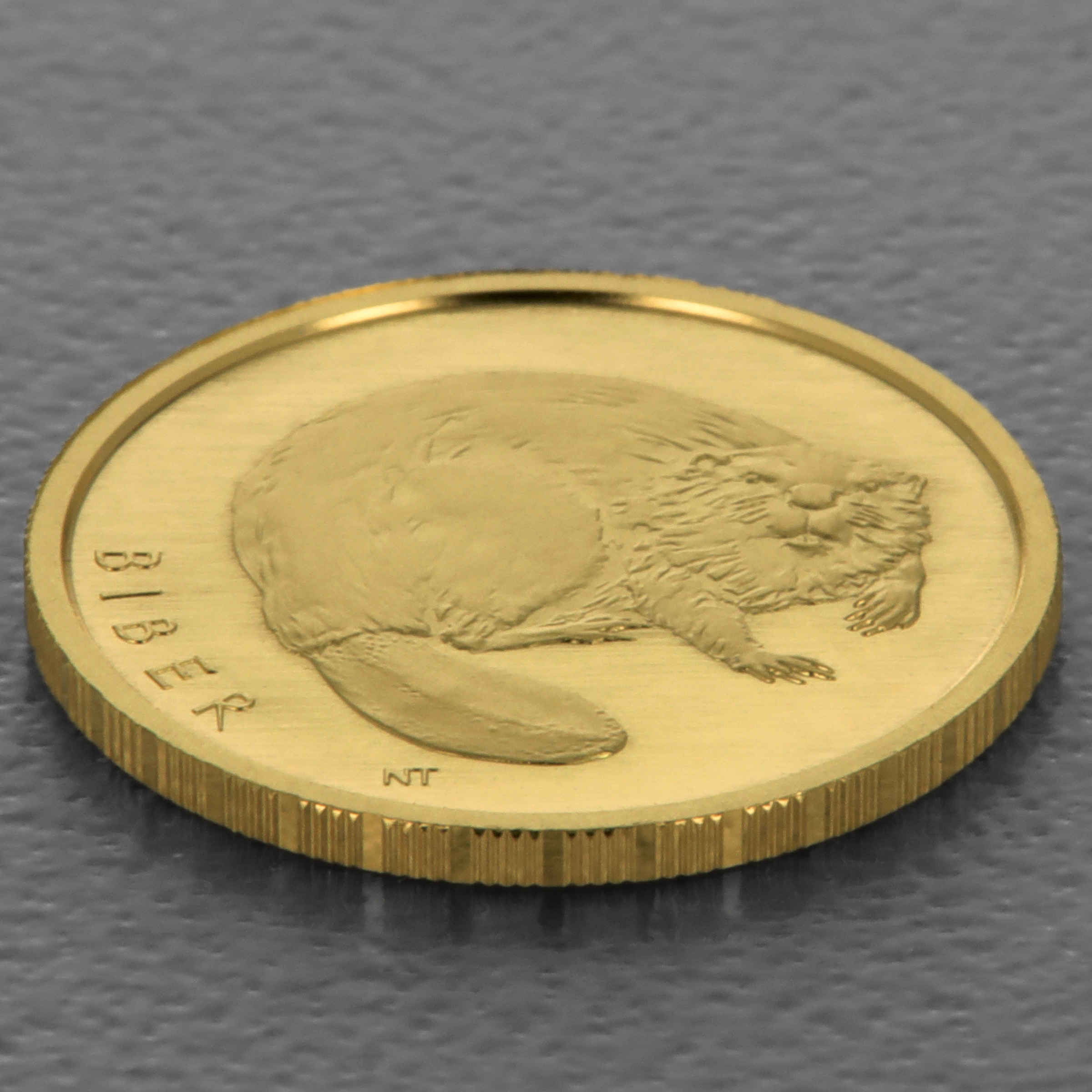 Goldmünze 20 Euro "Biber" 2024 Rückkehr der Wildtiere (Deutschland) - Detailansicht 2