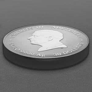 Silbermünze 1kg "Pferd" 2026 Lunar III – Year of the Horse (Australien) - Miniaturansicht 4