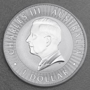 Silbermünze 1oz "Känguru" 2025 19% (Australien) - Miniaturansicht 2