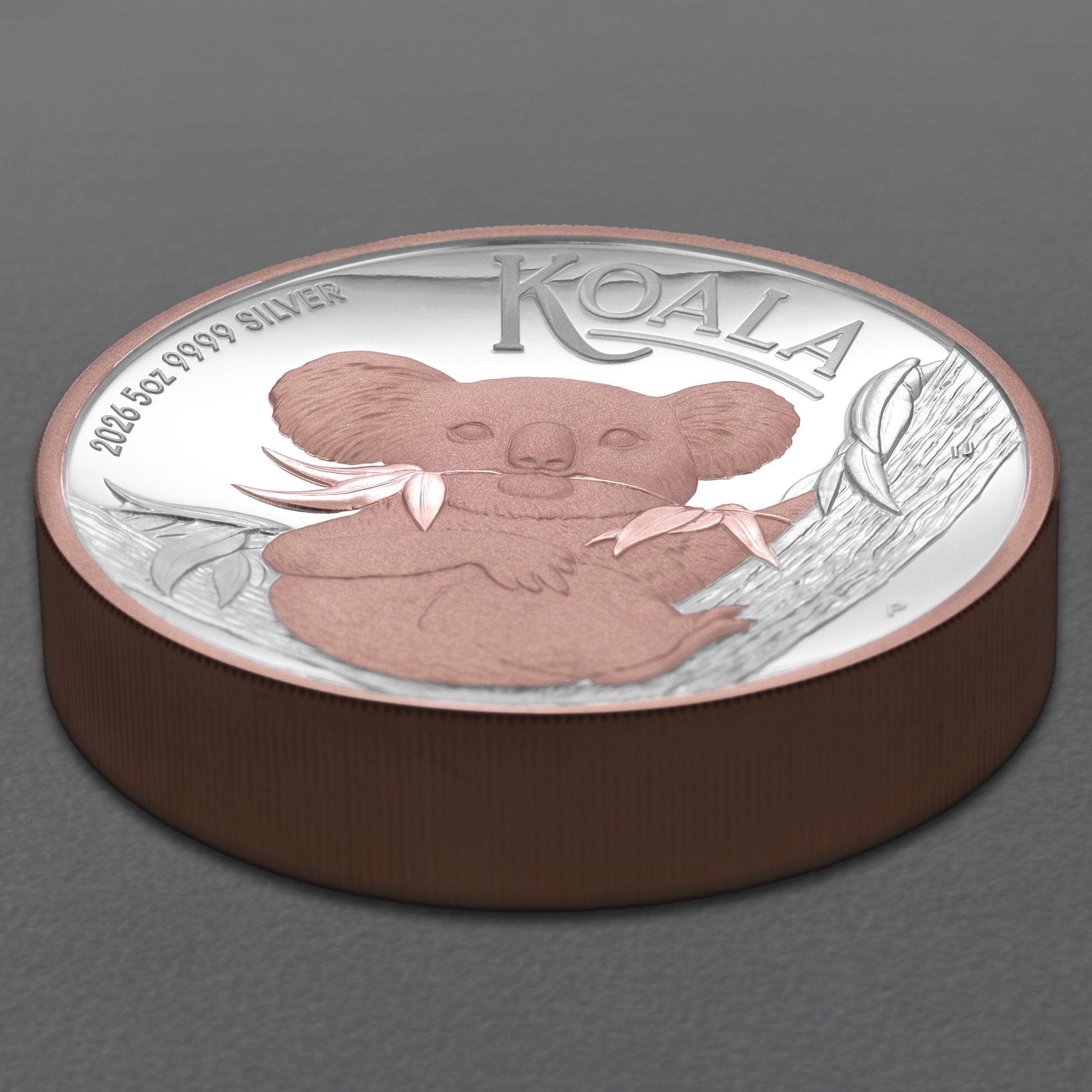 Silbermünze 5oz "Koala" 2026 (PP/HR/rosévergoldet) (Australien) - Detailansicht 2