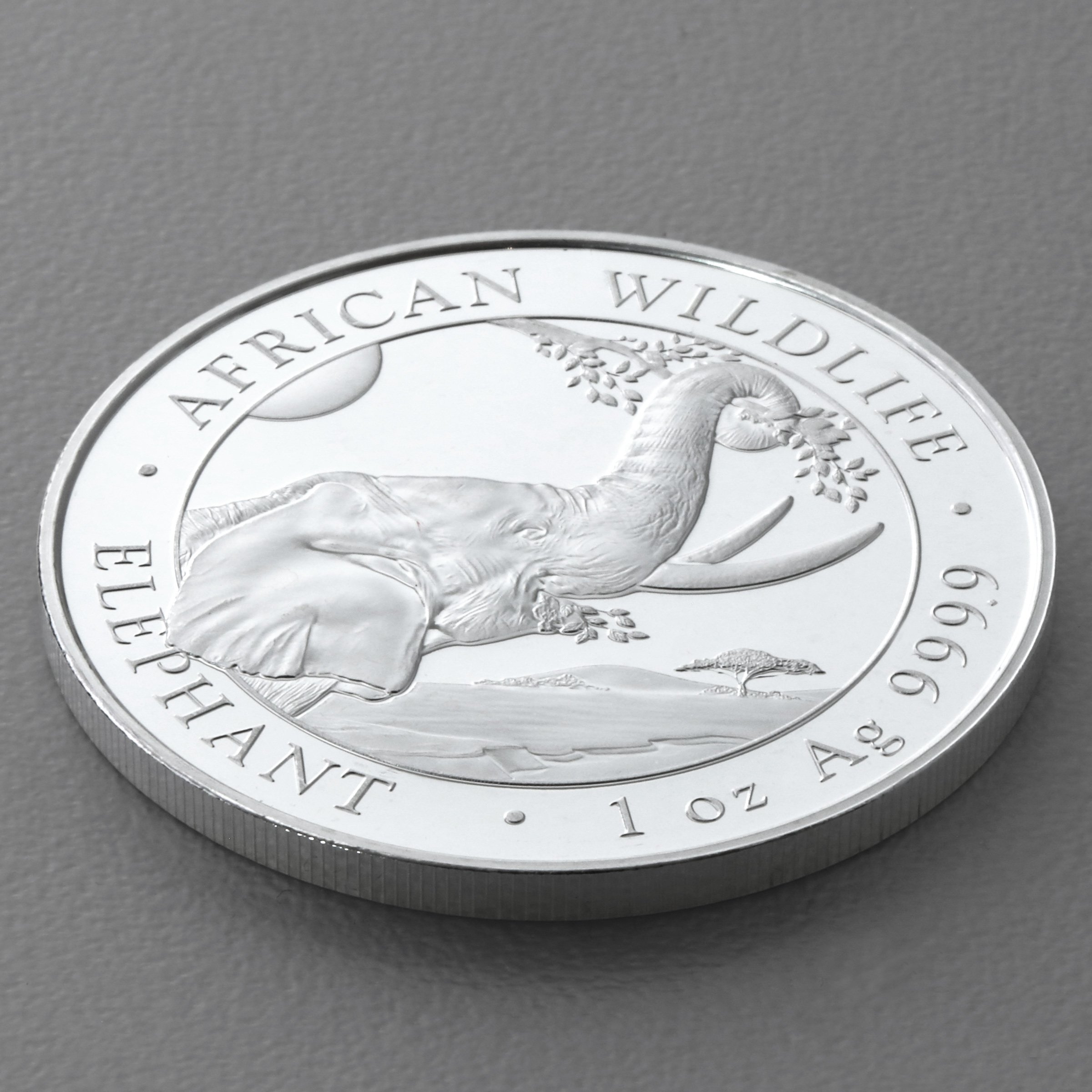 Silbermünze 1oz "Elefant" 2023 African Wildlife 19% (Somalia) - Detailansicht 2