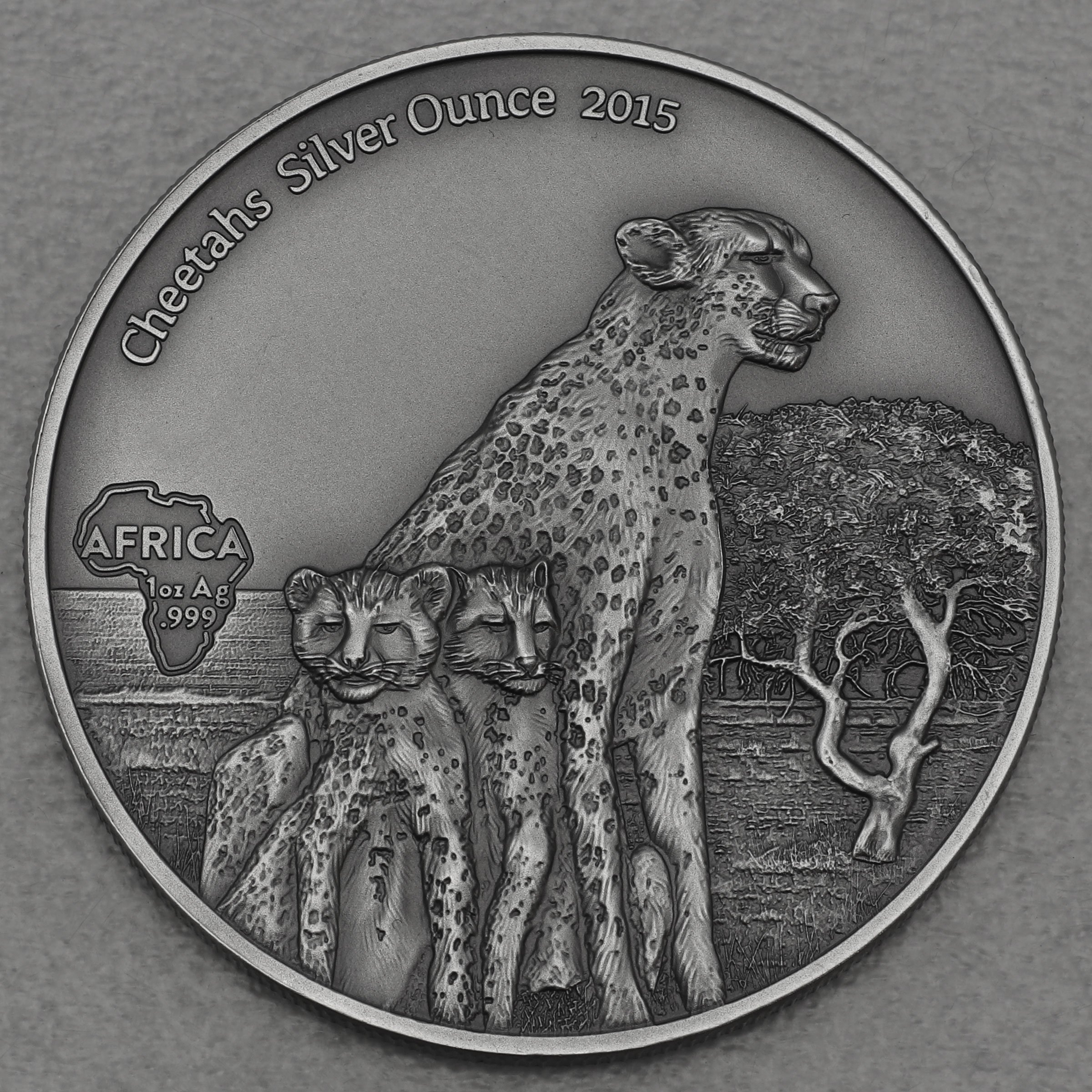 Silbermünze 1oz "Geparden" 2015 (AF) Africa Silver Ounce (Gabun) - Hauptansicht