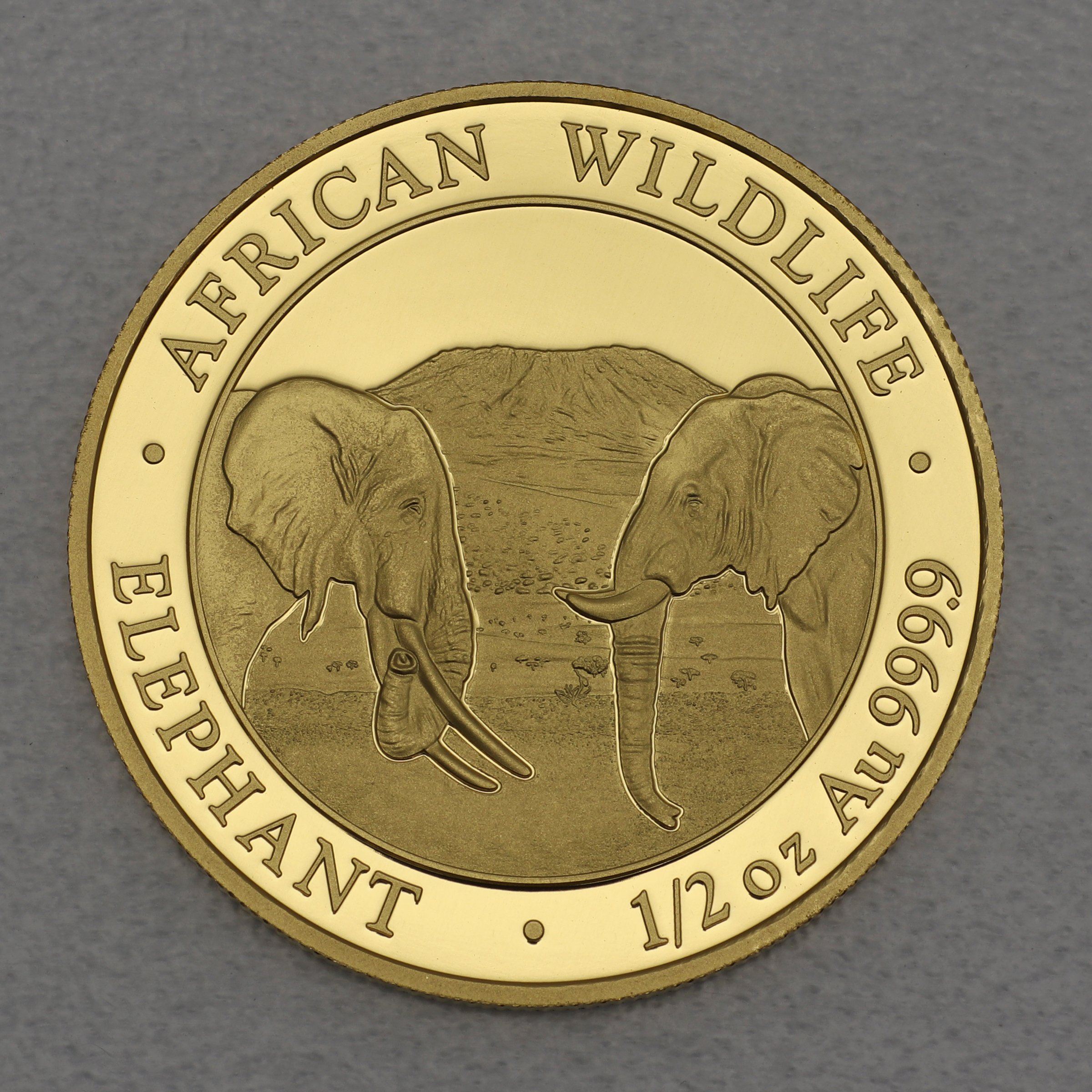 Goldmünze 1/2oz "Elefant" 2020 African Wildlife (Somalia) - Hauptansicht