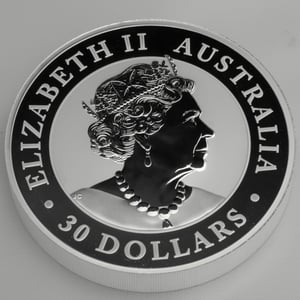 Silbermünze 1kg "Kookaburra" 2019 (Australien) - Miniaturansicht 4