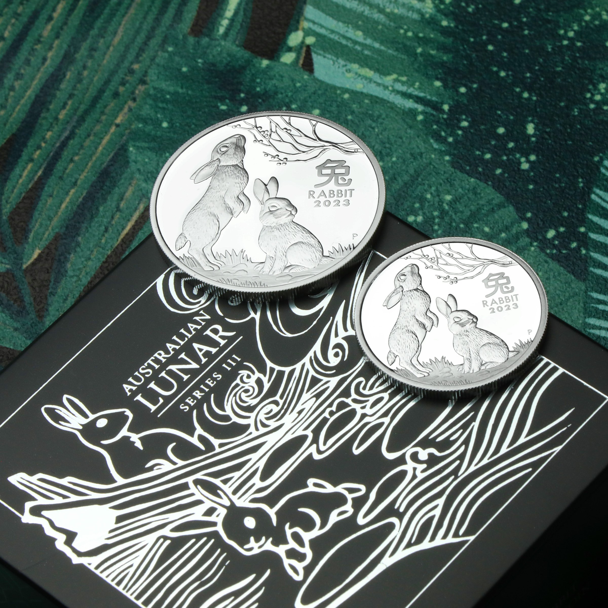 Silbermünze 1oz "Hase" 2023 (PP) Lunar III – Year of the Rabbit (Australien) - Detailansicht 5