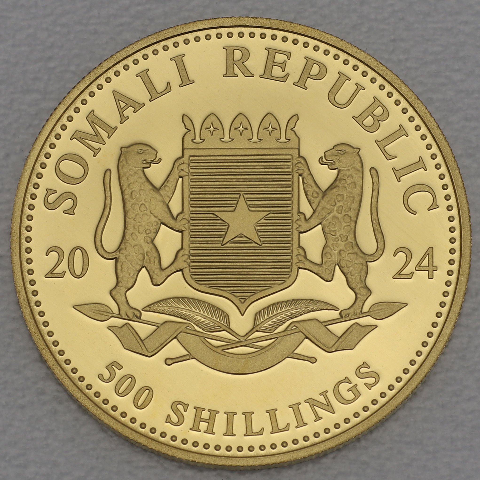 Goldmünze 1/2oz "Elefant" 2024 African Wildlife (Somalia) - Detailansicht 1