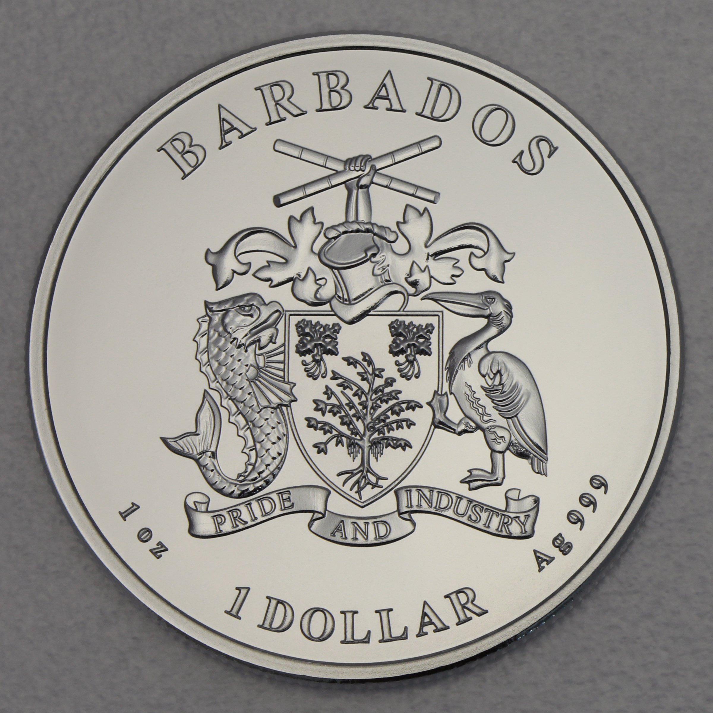 Silbermünze 1oz "Octopus 2021" (vergoldet) Caribbean Silver (Barbados) - Detailansicht 1