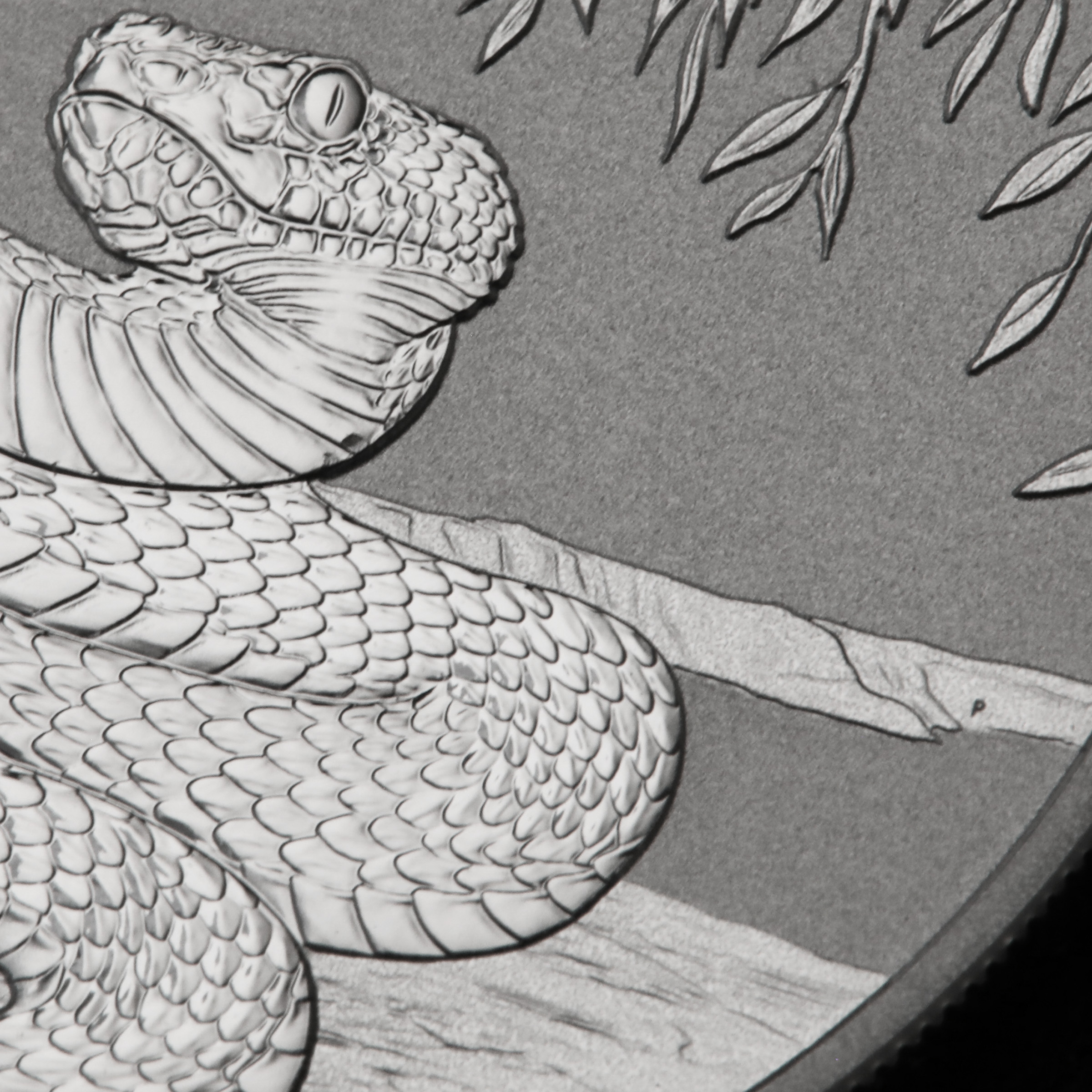 Silbermünze 1oz "Schlange" 2025 Lunar III – Year of the Snake 19% (Australien) - Detailansicht 4