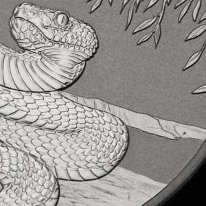 Silbermünze 1oz "Schlange" 2025 Lunar III – Year of the Snake 19% (Australien) - Miniaturansicht 5