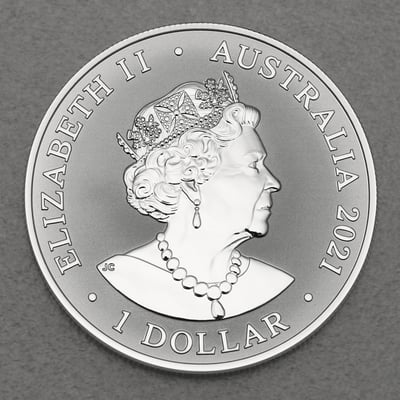 Silbermünze 1oz "Fraser s Dolphin" 2021 (Australien) - Miniaturansicht 2