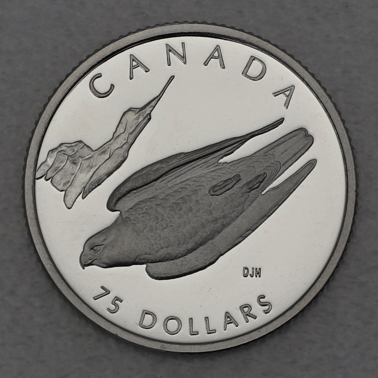 Platinmünze 1/4oz "Peregrine Falcon" 1996 Wildlife Canada (Kanada) - Hauptansicht