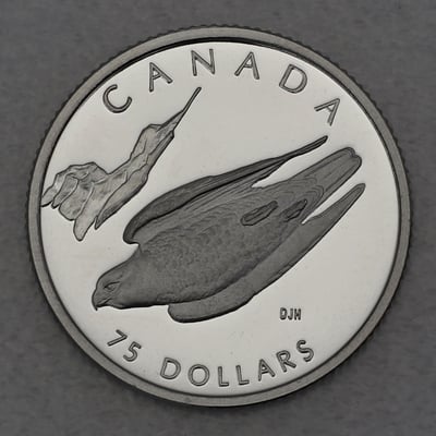 Platinmünze 1/4oz "Peregrine Falcon" 1996 Wildlife Canada (Kanada) - Miniaturansicht 1