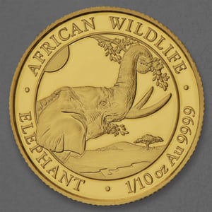 Goldmünze 1/10oz "Elefant" 2023 African Wildlife (Somalia) - Hauptansicht
