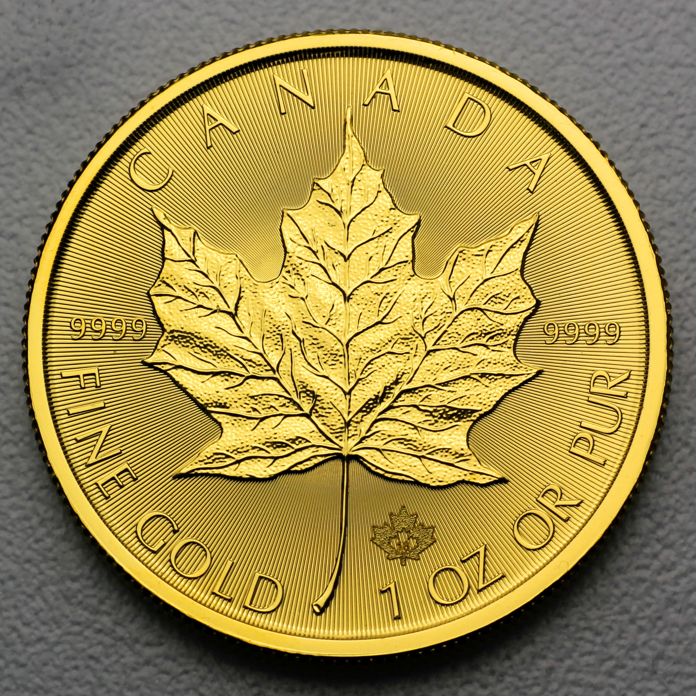 Goldmünze 1oz "Maple Leaf" verschiedene Jahrgänge (Kanada) - Hauptansicht