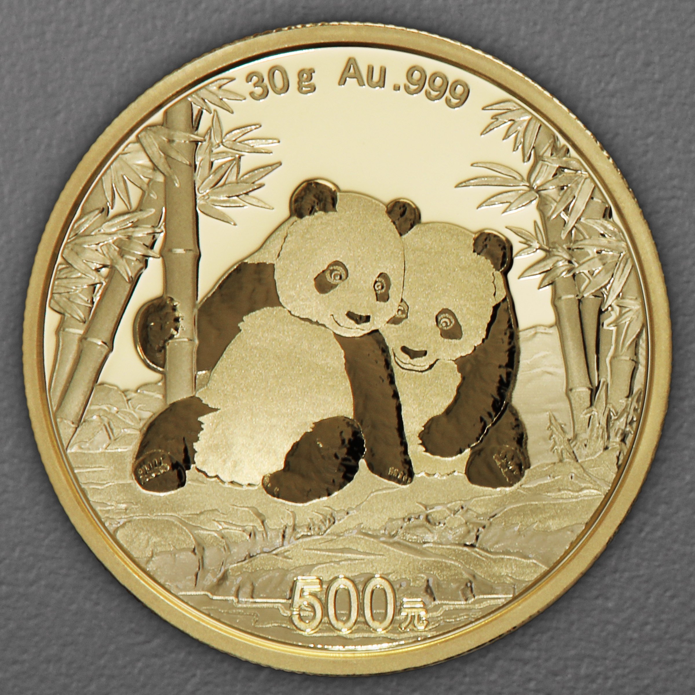 Goldmünze 30g "Panda" 2026 (China) - Hauptansicht