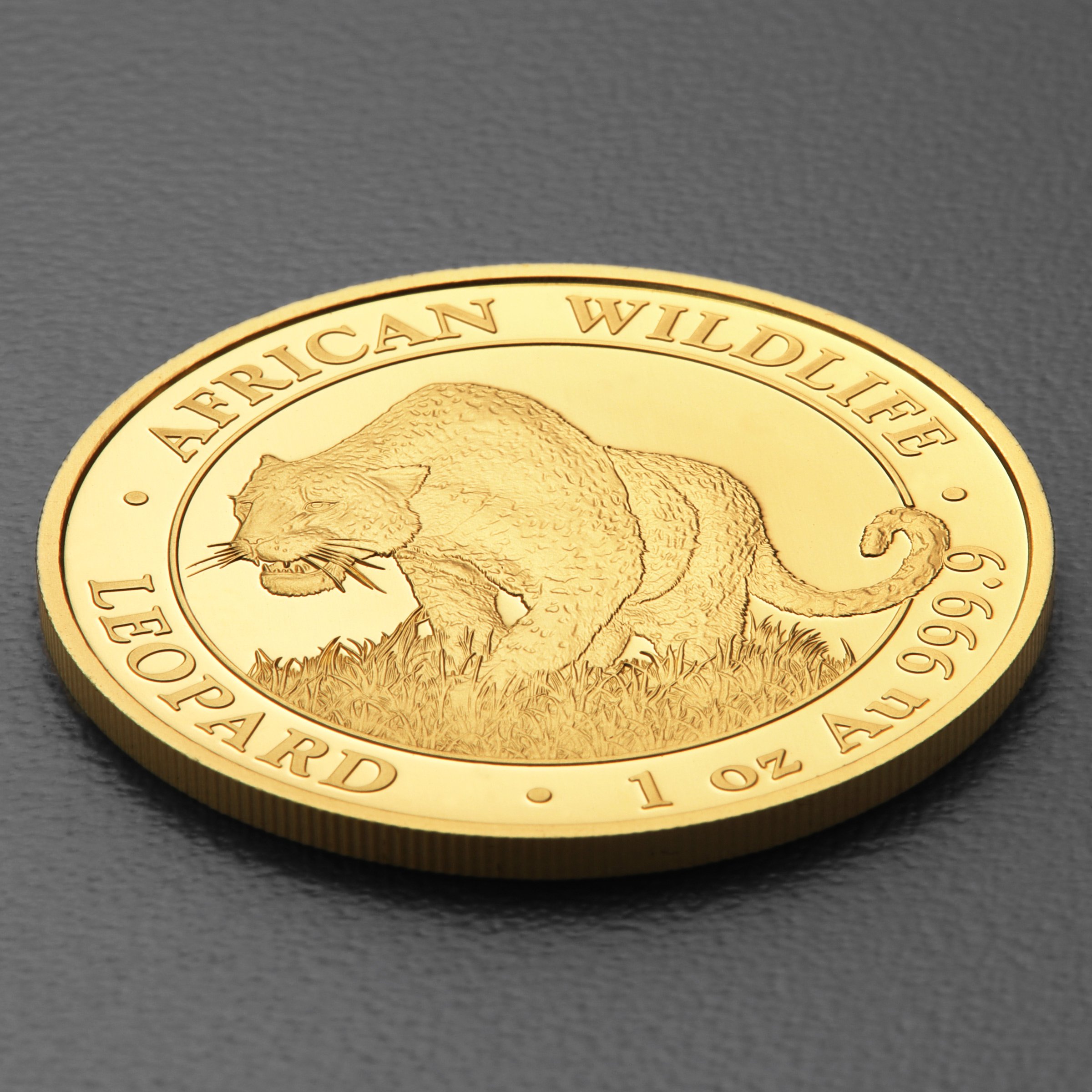Goldmünze 1oz "Leopard" 2023 African Wildlife (Somalia) - Detailansicht 2