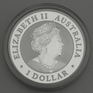 Silbermünze 1oz "Kookaburra" 2019 (Australien) - Miniaturansicht 4
