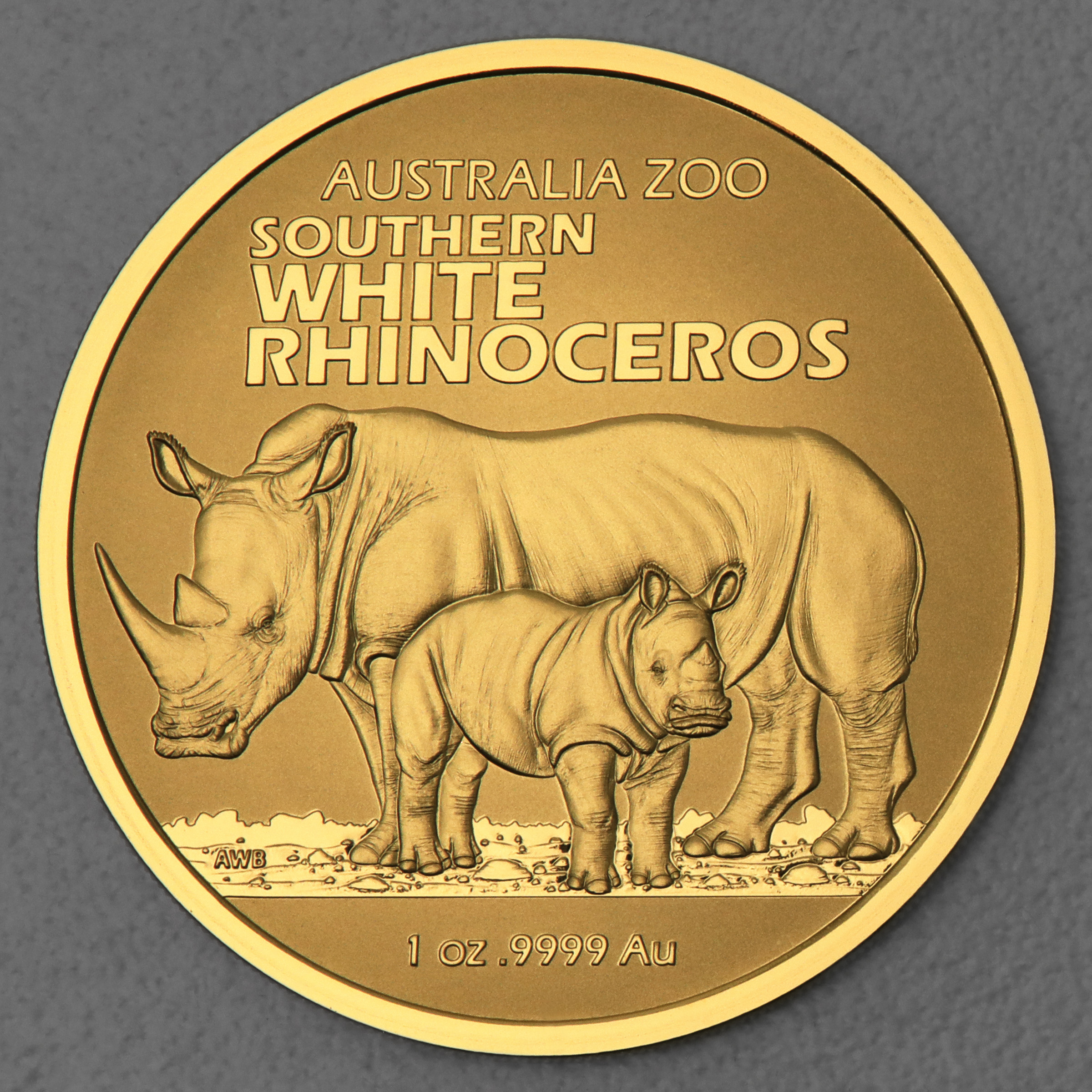 Goldmünze 1oz "Südliches Breitmaulnashorn" 2023 Australia Zoo (Australien) - Hauptansicht