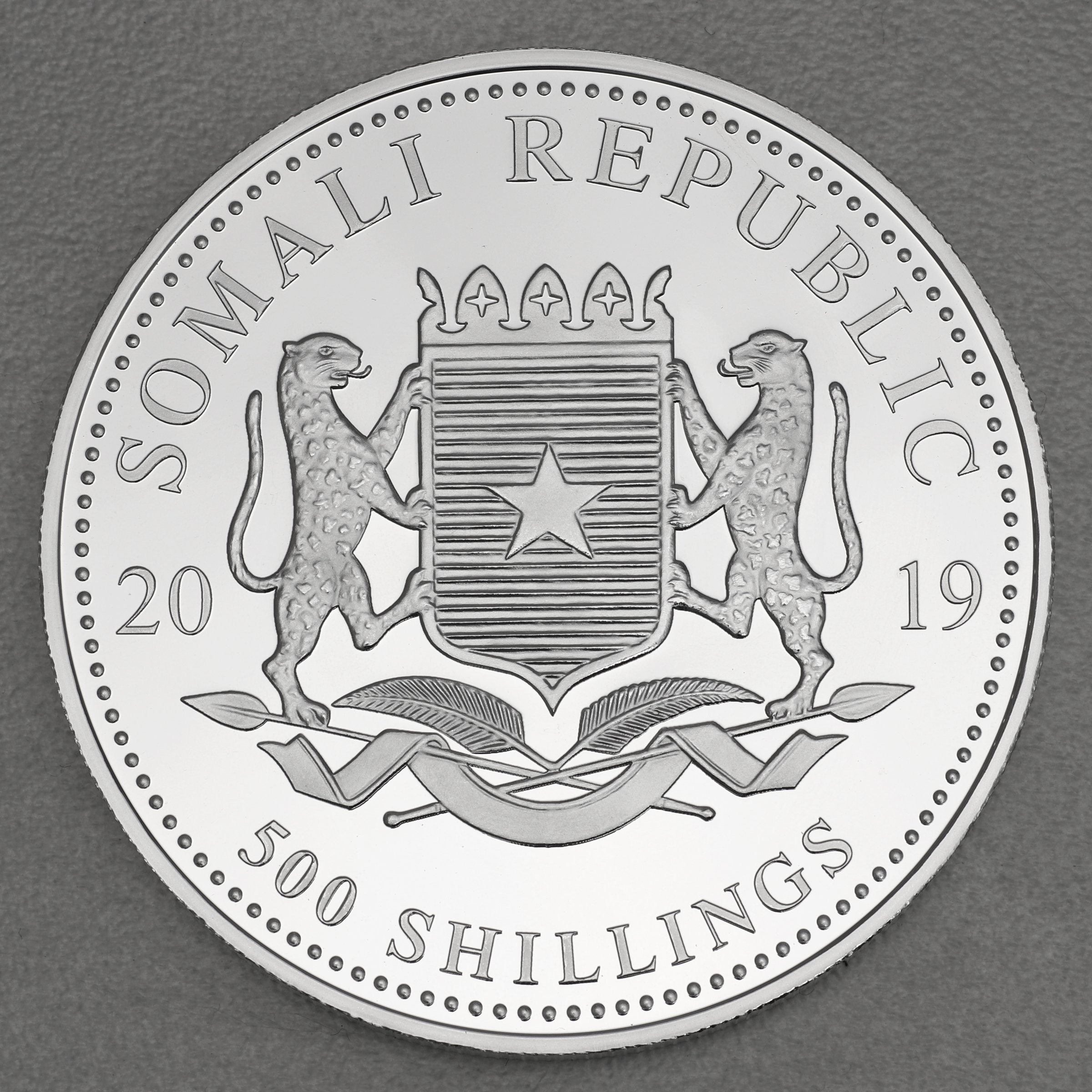 Silbermünze 5oz "Elefant" 2019 African Wildlife (Somalia) - Detailansicht 1