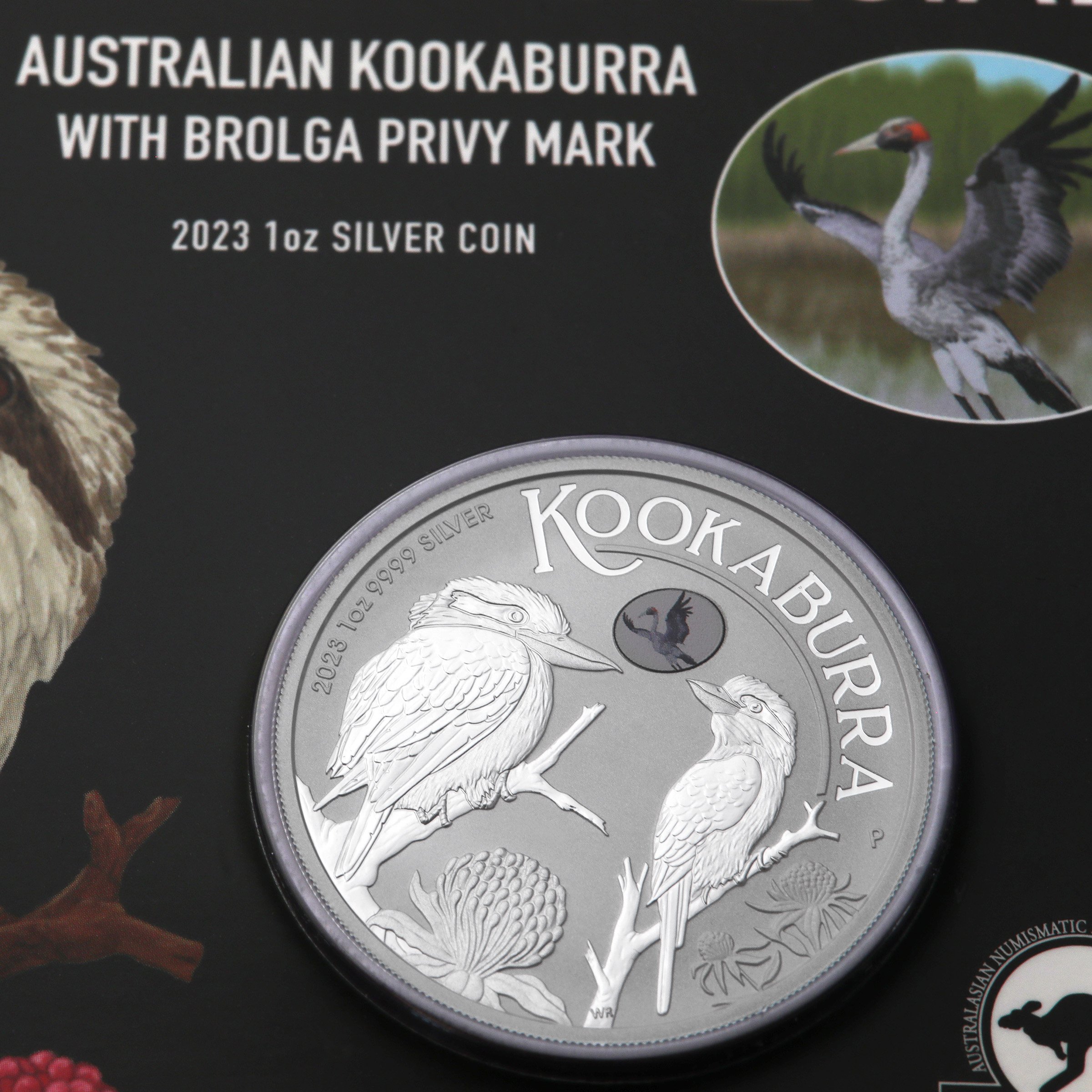 Silbermünze 1oz "Kookaburra" 2023 (Privy Mark) Brisbane Money Expo ANDA Special (Australien) - Detailansicht 5