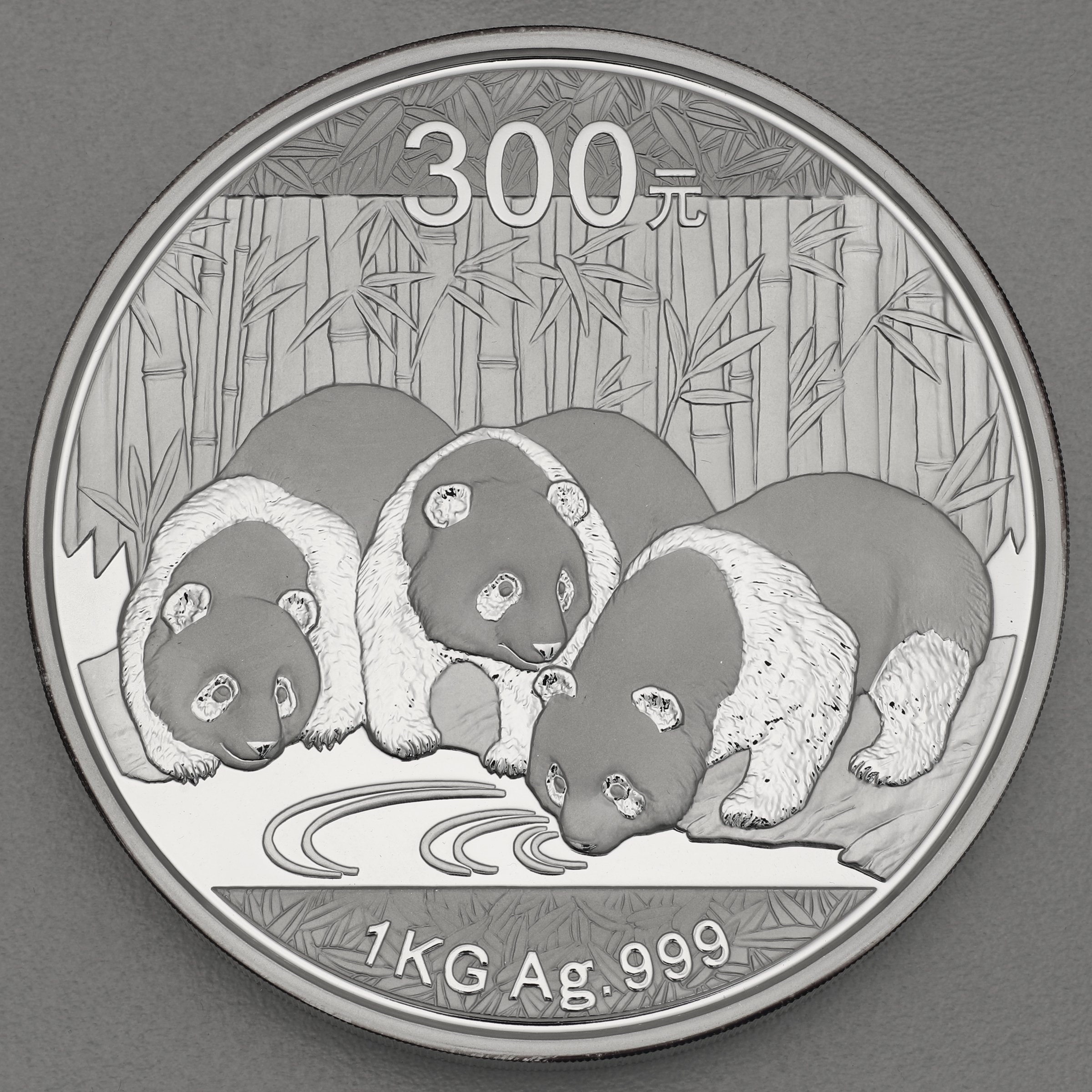 Silbermünze 1kg "Panda" 2013 (China) - Hauptansicht