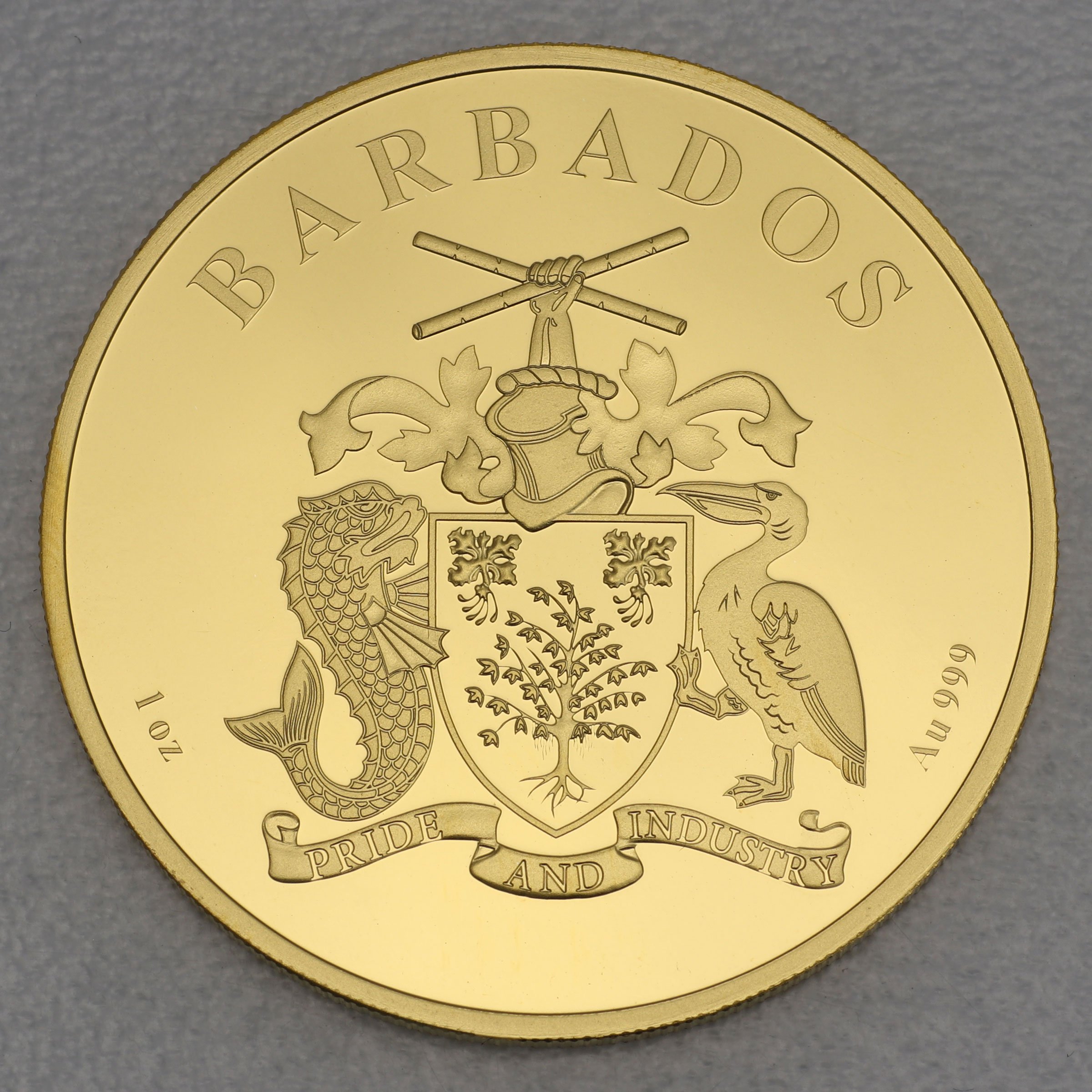 Goldmünze 1oz "Flamingo" 2022 (Barbados) - Detailansicht 1