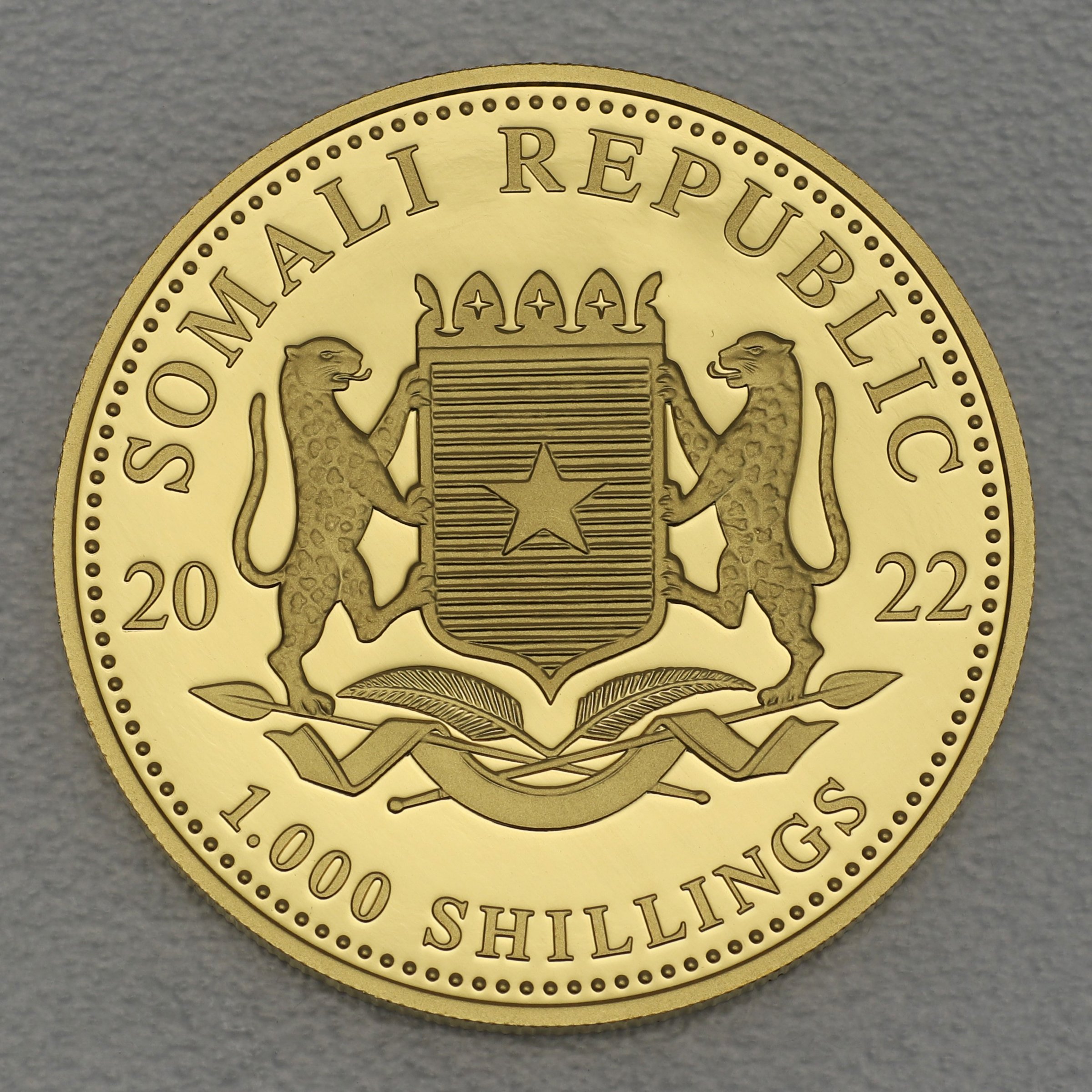Goldmünze 1oz "Elefant" 2022 African Wildlife (Somalia) - Detailansicht 1