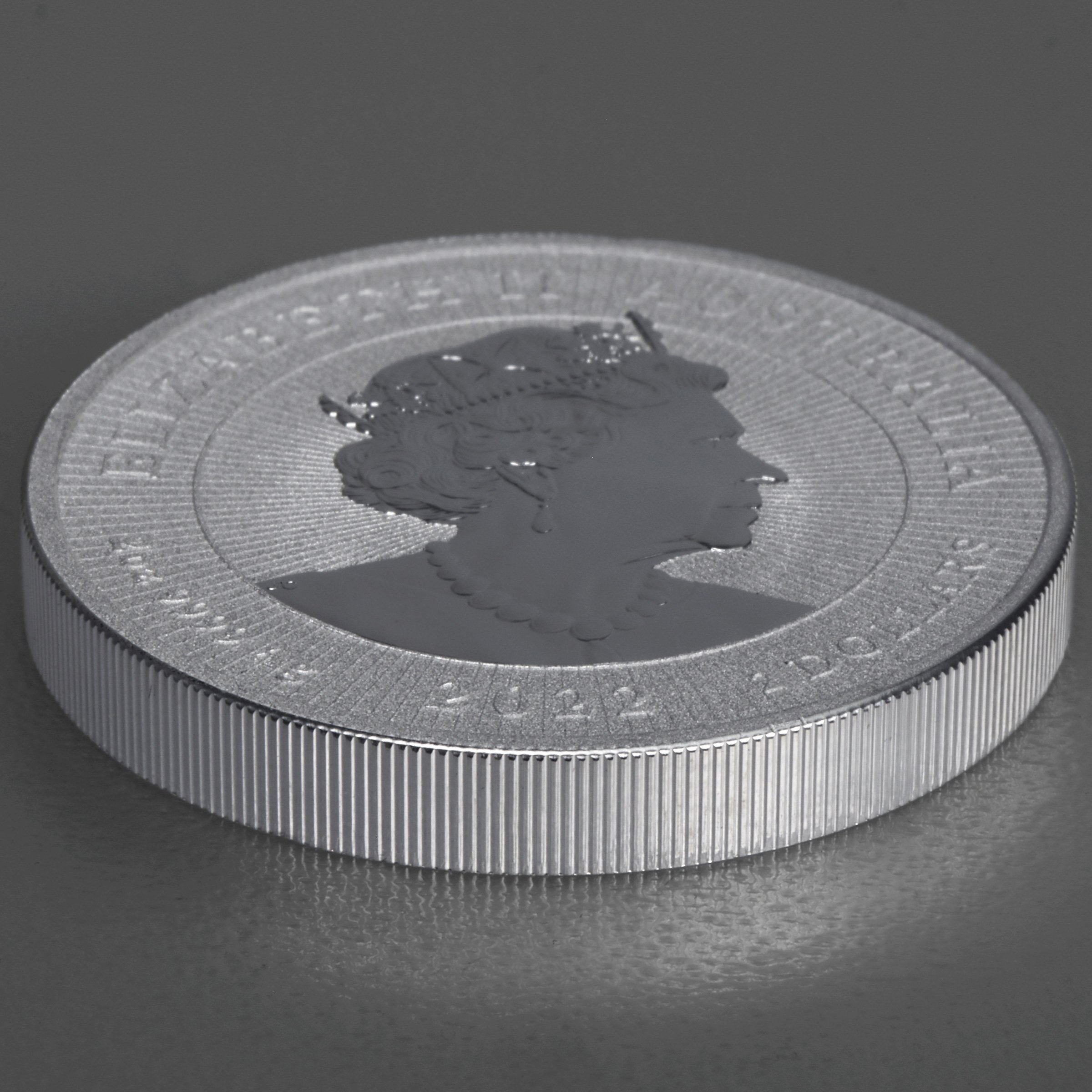 Silbermünze 2oz "Mother & Baby Dingo 2022" Next Generation diff. (Australien) - Detailansicht 3