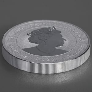 Silbermünze 2oz "Mother & Baby Dingo 2022" Next Generation diff. (Australien) - Miniaturansicht 4