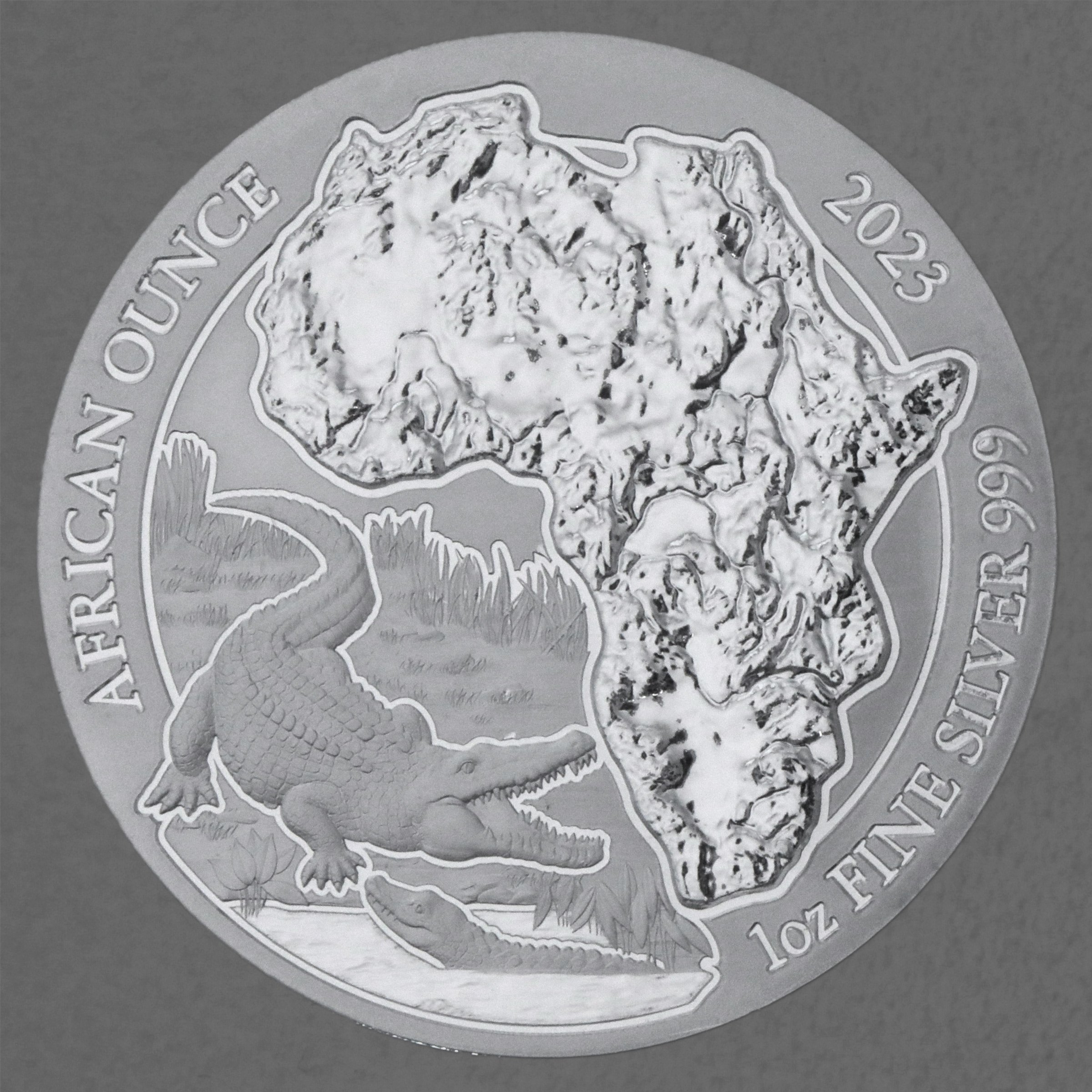 Silbermünze 1oz "Nilkrokodil" 2023 African Ounce 19% (Ruanda) - Hauptansicht