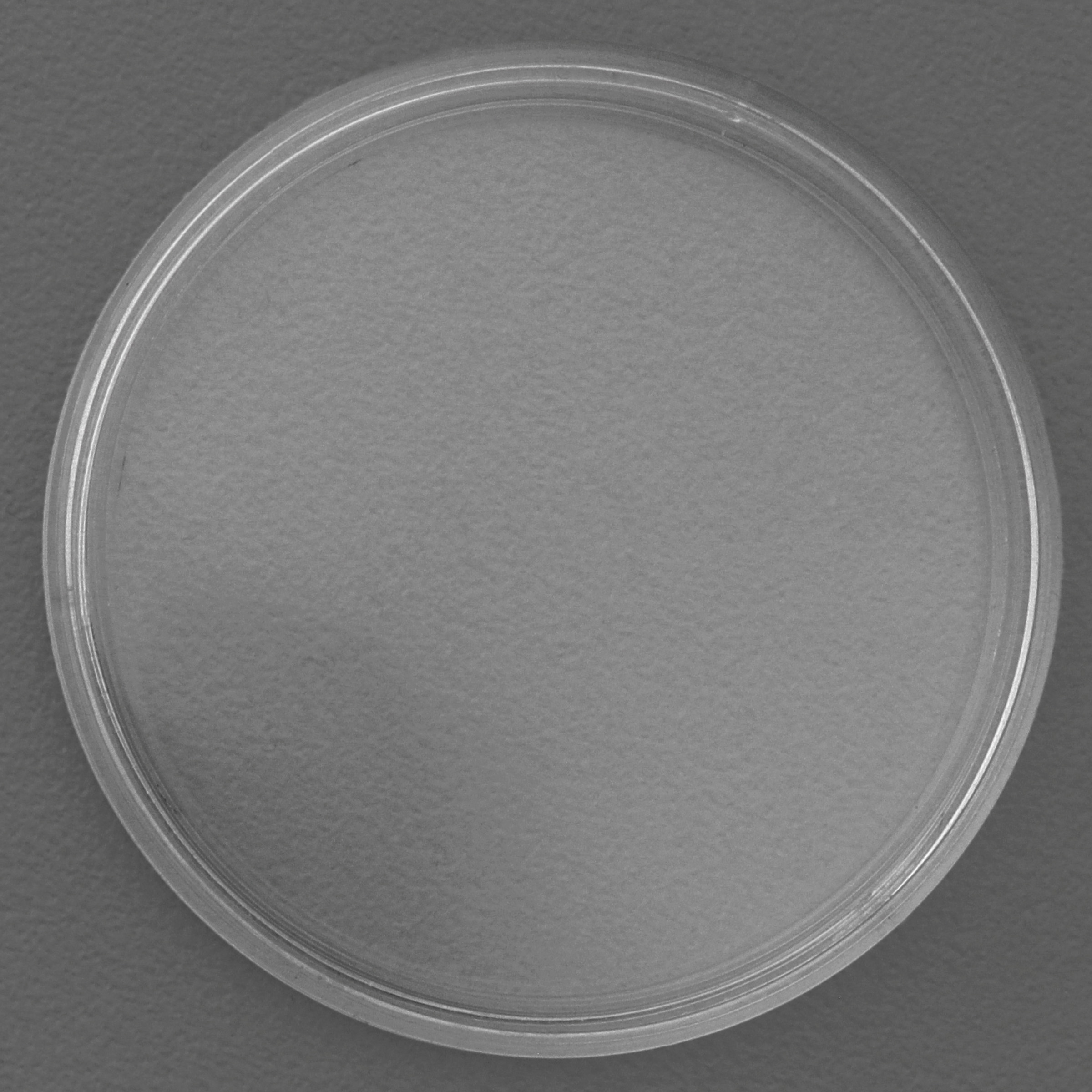 Münzkapseln 45mm 10er-Packung - Detailansicht 1