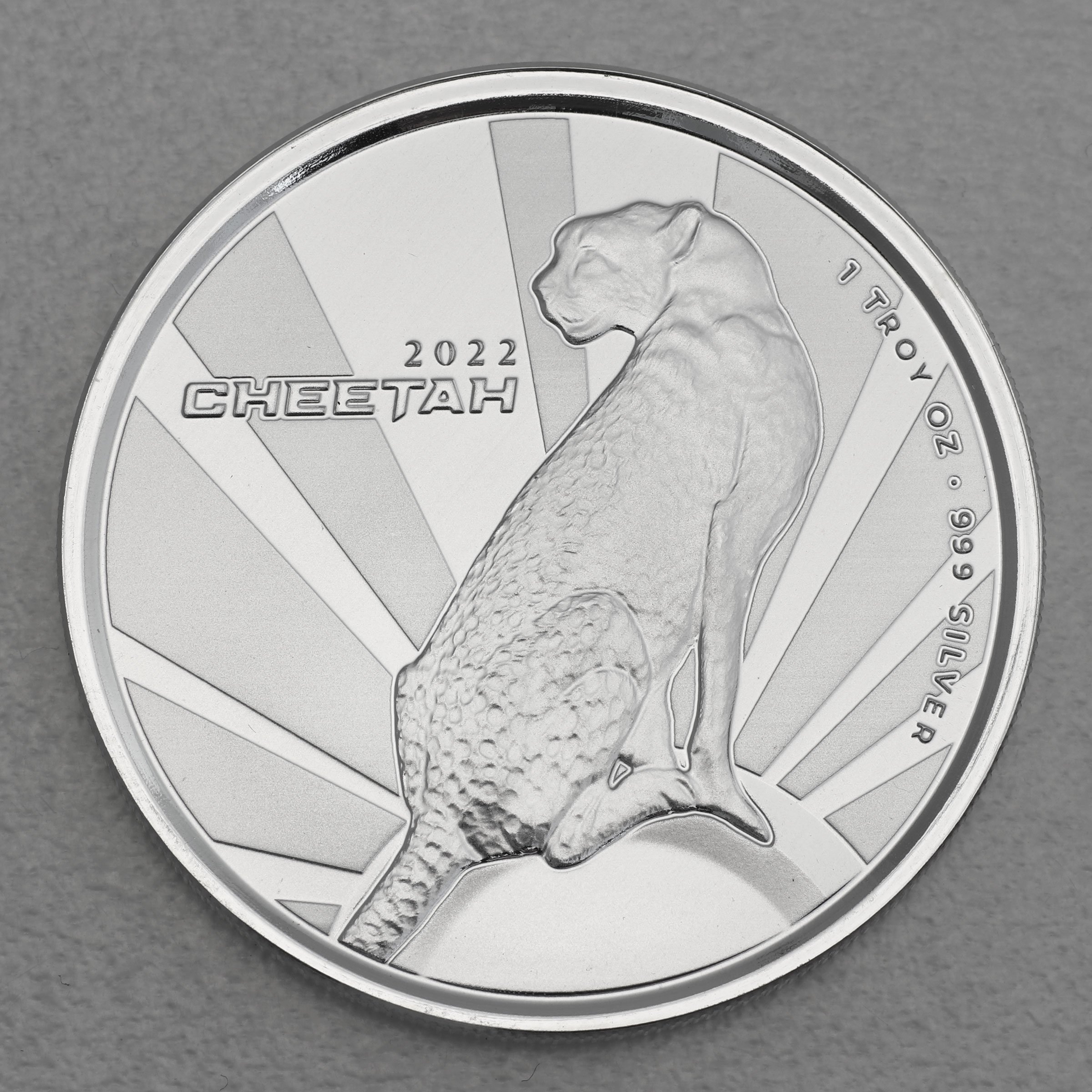 Silbermünze 1oz "Gepard" 2022 (PL) (Kamerun) - Hauptansicht