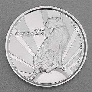 Silbermünze 1oz "Gepard" 2022 (PL) (Kamerun) - Miniaturansicht 1