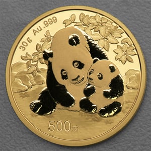 Goldmünze 30g "Panda" 2024 (China) - Hauptansicht
