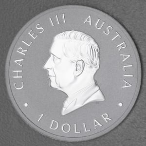Silbermünze 1oz "Wedge-tailed Eagle" 2025 19% (Australien) - Miniaturansicht 2