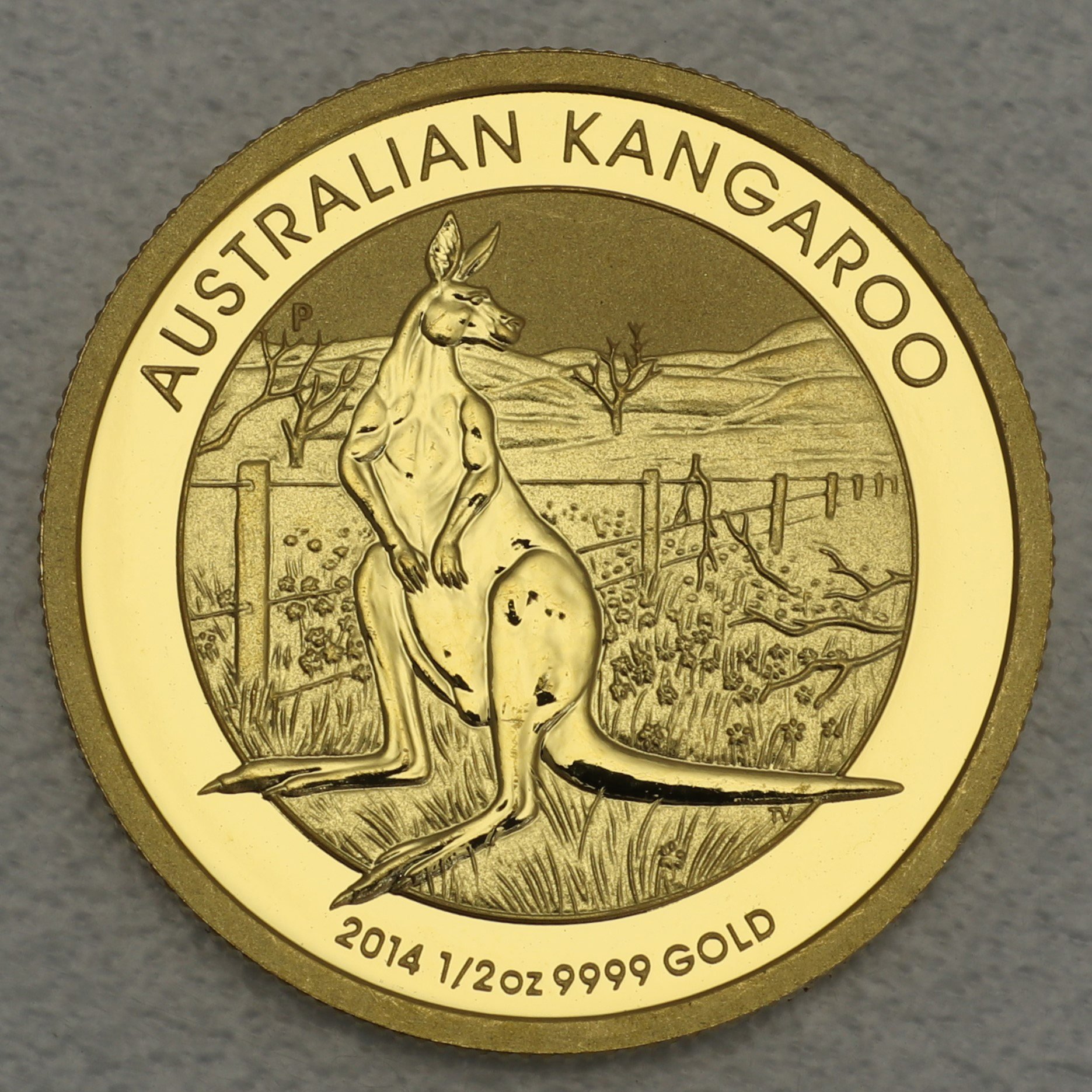 Goldmünze 1/2oz "Känguru" 2014 (Australien) - Hauptansicht