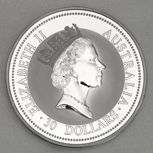 Silbermünze 1kg "Kookaburra" 1995 (Australien) - Miniaturansicht 2