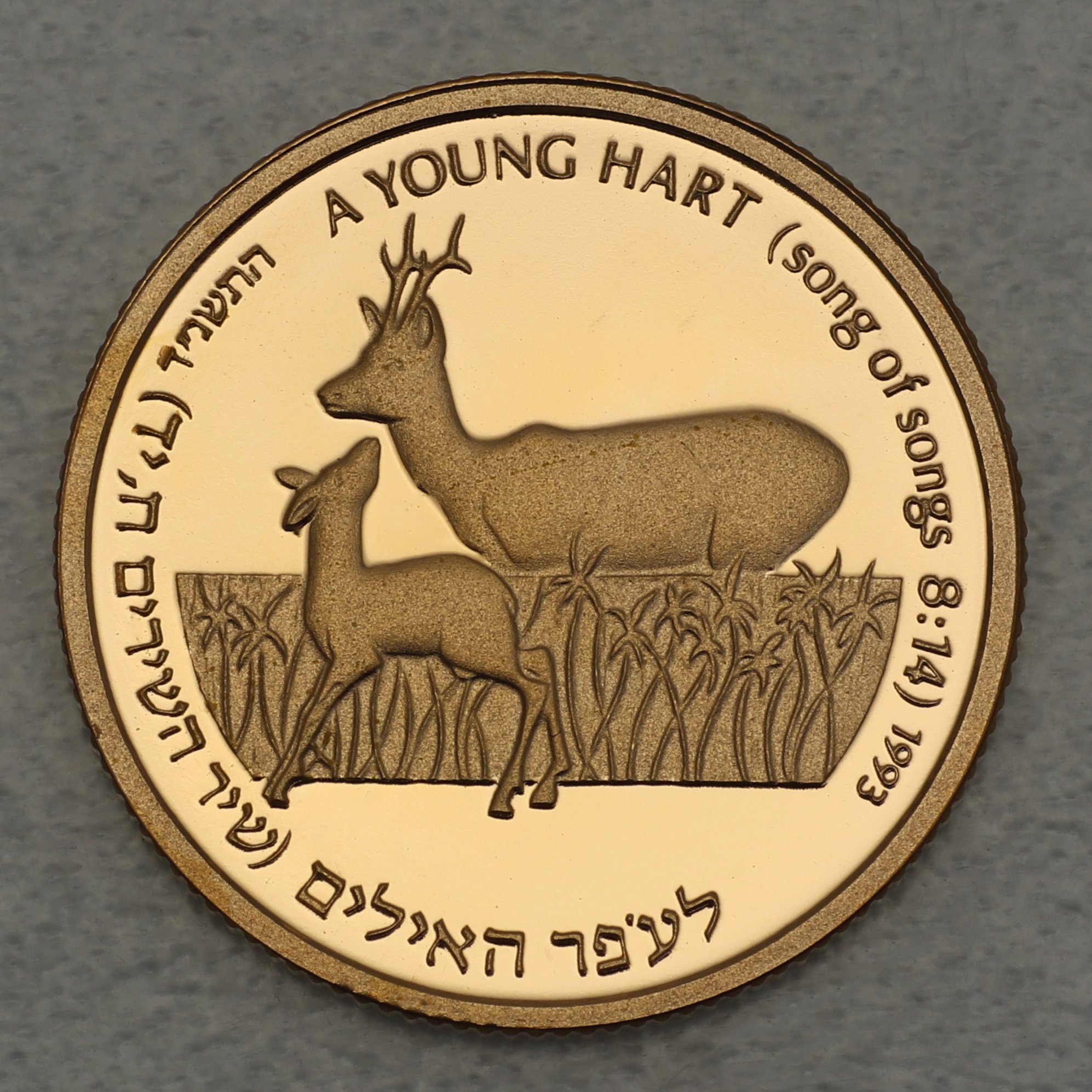 Goldmünze 5 New Sheqalim "Rehbock" 1993 Wildlife (Israel) - Hauptansicht