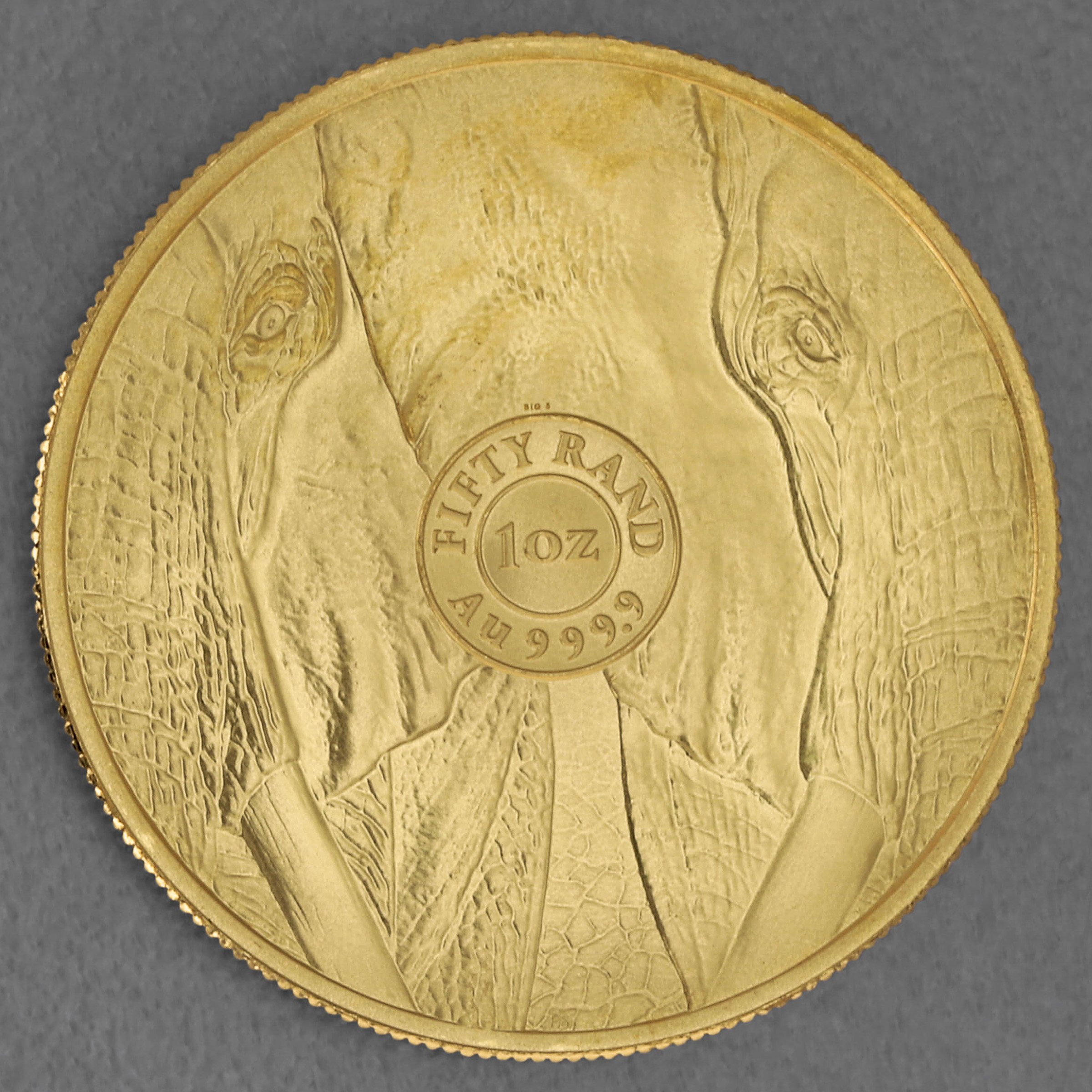 Goldmünze 1oz "Elefant" 2024 Big Five II (Südafrika) - Detailansicht 1