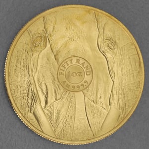 Goldmünze 1oz "Elefant" 2024 Big Five II (Südafrika) - Miniaturansicht 2