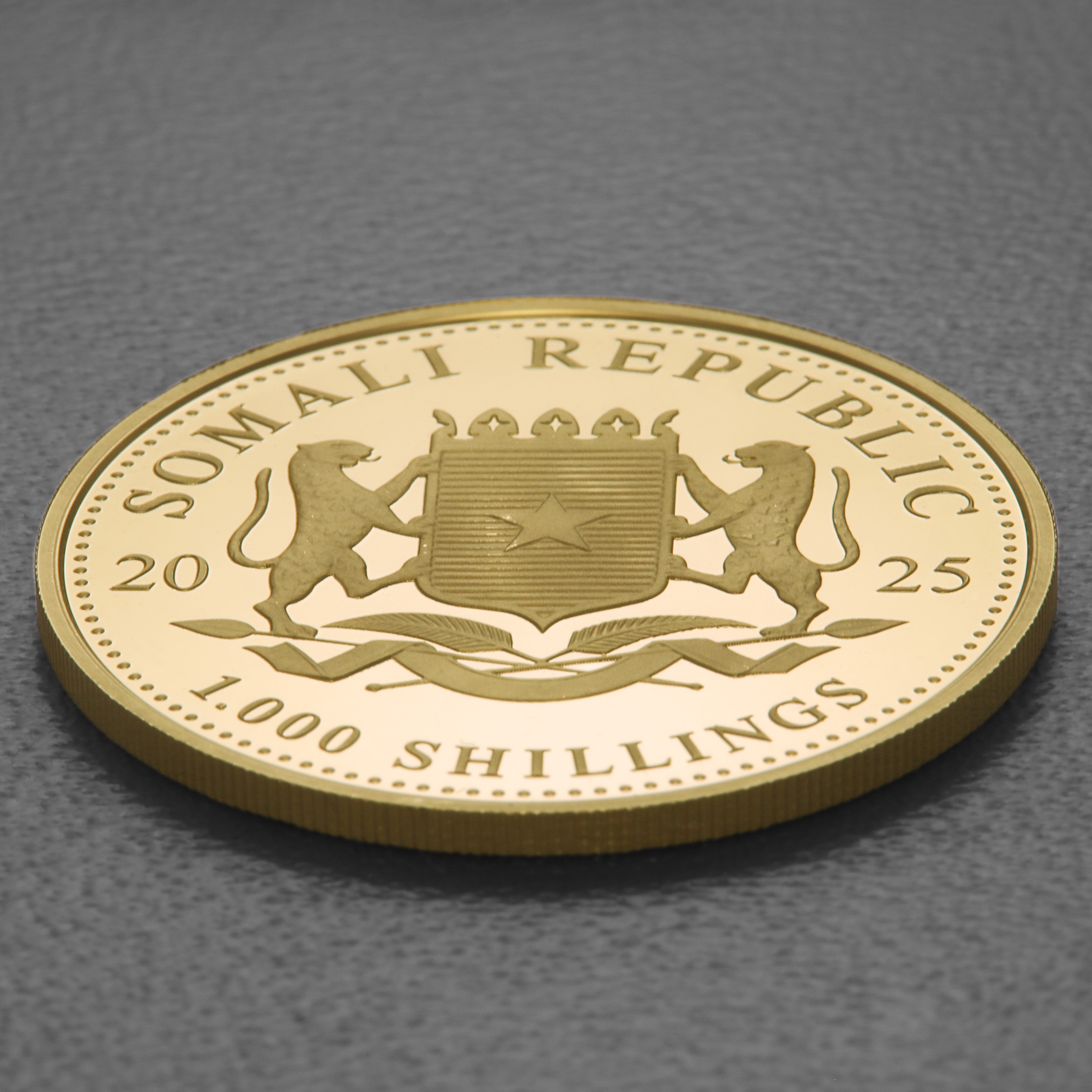 Goldmünze 1oz "Elefant" 2025 African Wildlife (Somalia) - Detailansicht 3