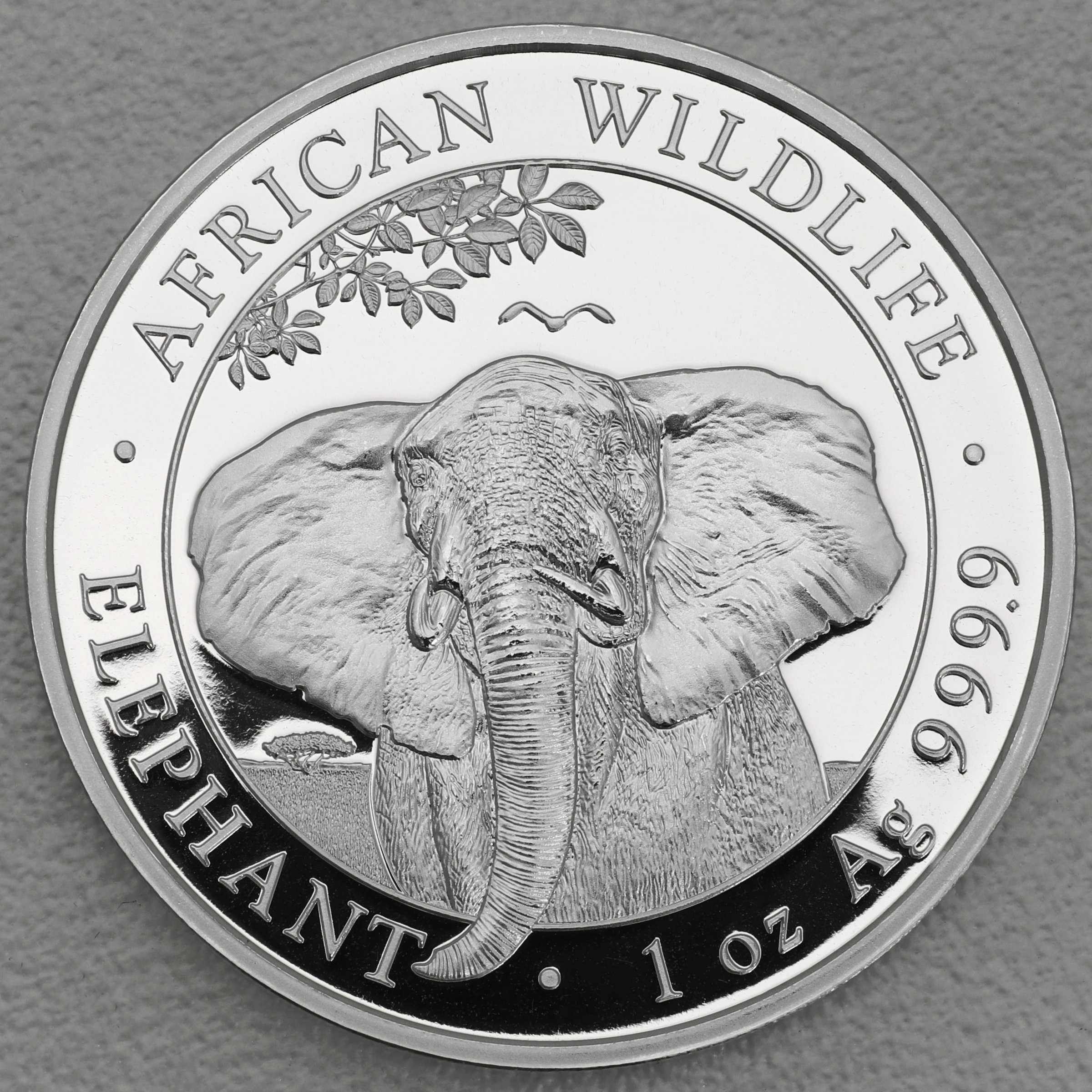 Silbermünze 1oz "Elefant" 2021 African Wildlife (Somalia) - Hauptansicht