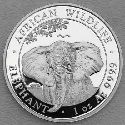 Silbermünze 1oz "Elefant" 2021 African Wildlife (Somalia) - Hauptansicht