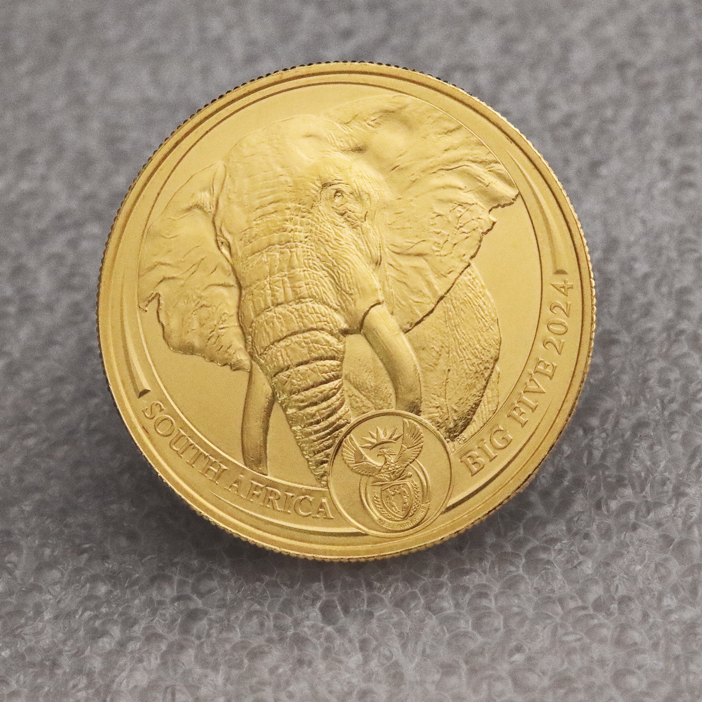 Goldmünze 1oz "Elefant" 2024 Big Five II (Südafrika) - Detailansicht 4