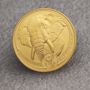 Goldmünze 1oz "Elefant" 2024 Big Five II (Südafrika) - Miniaturansicht 5