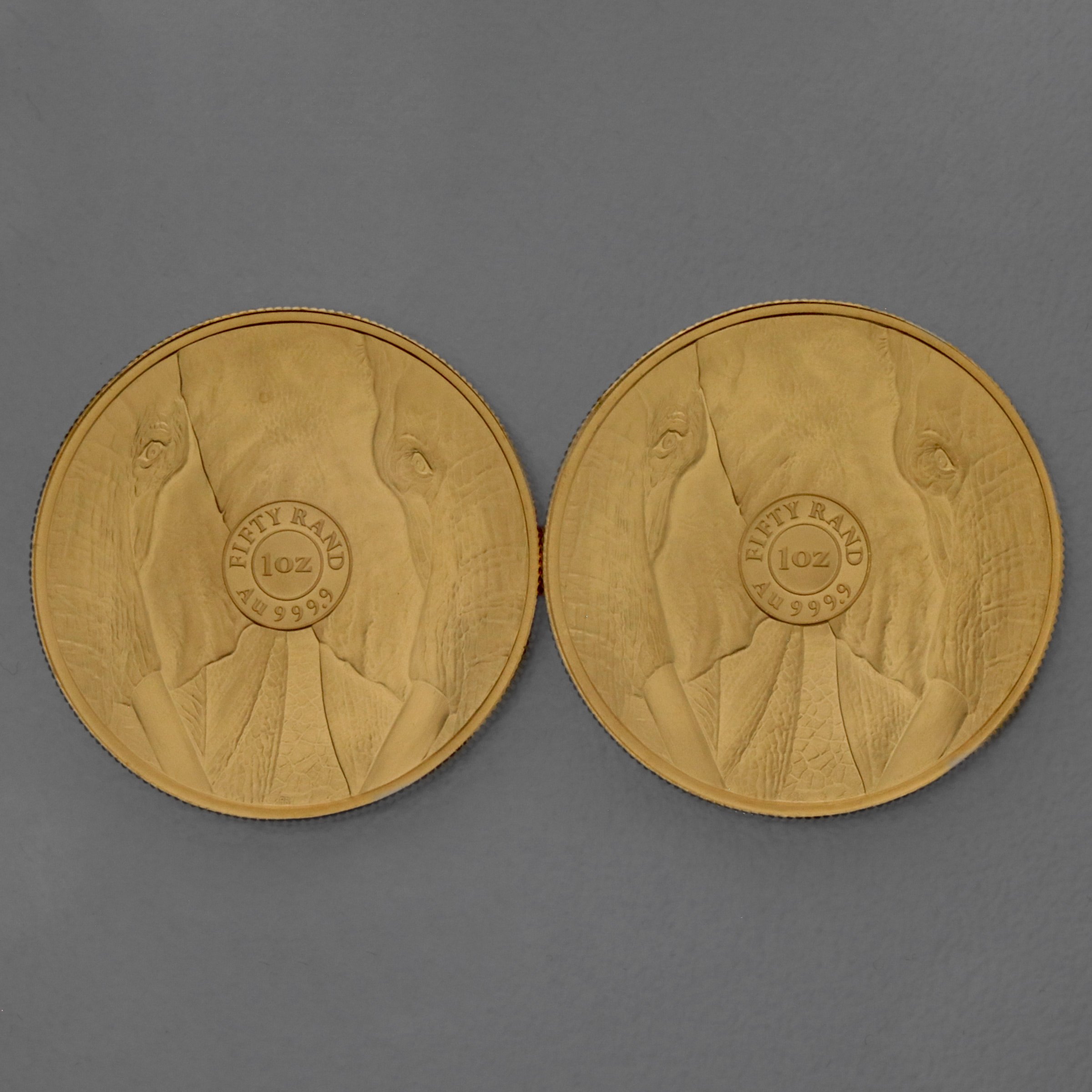 Goldmünze 1oz "Elefant" 2022 Big Five II (Südafrika) - Detailansicht 4